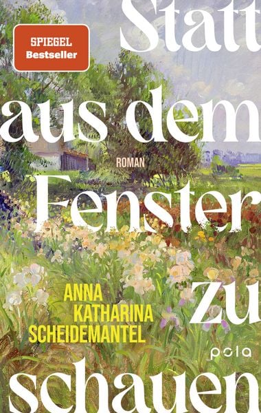 statt-aus-dem-fenster-zu-schauen-gebundene-ausgabe-anna-katharina-scheidemantel