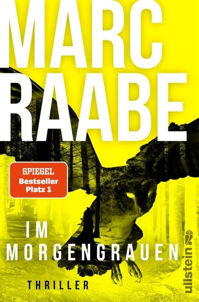 im-morgengrauen-taschenbuch-marc-raabe